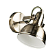 Спот Arte Lamp Martin A5213AP-1AB