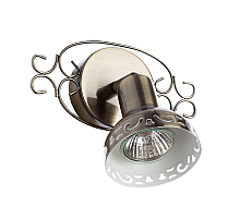 Спот Arte Lamp Focus A5219AP-1AB