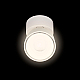 Спот Loft IT Focus 10323/A White