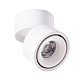 Светодиодный спот Arte Lamp Arcturus A7715PL-1WH