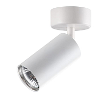 Спот Novotech Pipe 370394