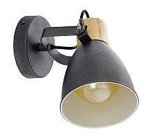 Спот Eglo Coswarth 901174