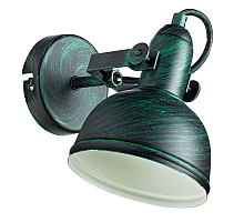 Спот Arte Lamp Martin A5213AP-1BG