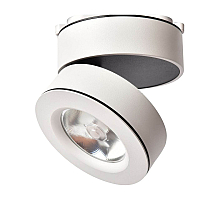 Светодиодный спот Arte Lamp A2511PL-1WH