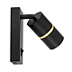 Спот Lampit Asti TS TK40-W1 BK+GD