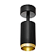 Спот Lampit Rin TS TK10-C1 BK+GD