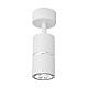 Спот Lampit Asti TS TK40-C1 WT+CHR