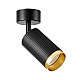 Спот Lampit Rin TS TK10-C1 BK+GD