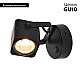 Спот Arte Lamp Lente A1314AP-1BK