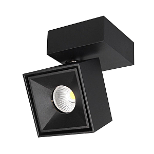 Спот Citilux CL558021N