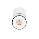 Спот Loft IT Focus 10323/A White