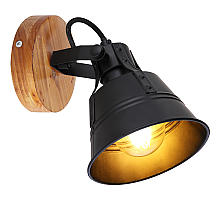 Спот Globo Gunther 15466S-1