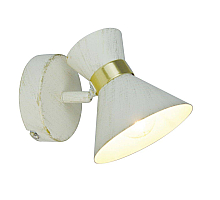 Спот Arte Lamp Baltimore A1406AP-1WG