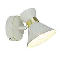 Спот Arte Lamp Baltimore A1406AP-1WG