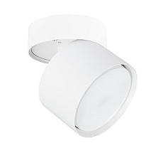 Накладной спот Arte Lamp Intercrus A5549PL-1WH