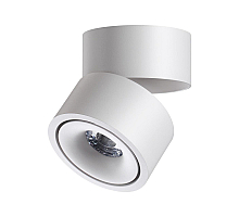 Спот Novotech Groda 358774