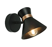 Спот Arte Lamp Baltimore A1406AP-1BK