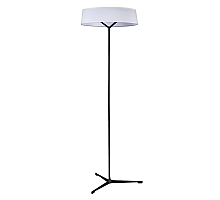 Торшер Divinare Alma 1029/06 PN-11