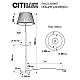 Торшер Citilux Линц CL402983T
