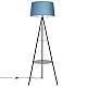 Торшер Citilux CL806023