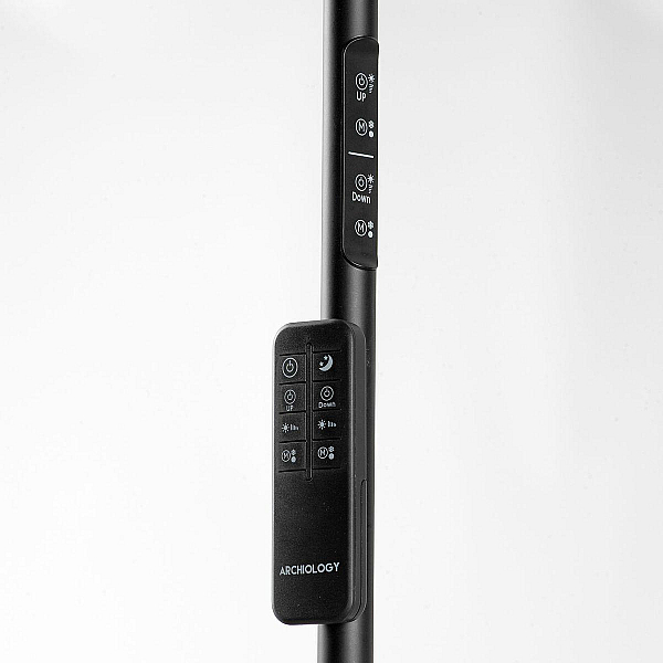 Торшер Lussole Carmel LSP-0901-SE