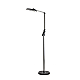 Торшер Lumion Ledio 8332/15FL