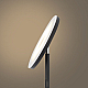 Торшер Freya Мирасоль / Mirasol FR6148FL-L36B