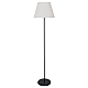 Торшер Arte Lamp Alea A5068PN-1BK
