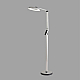 Торшер Lumion Ledio 8333/15FL