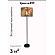 Торшер Moderli Tropic V11008-F