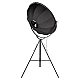 Торшер Loft IT Studio 10301/L