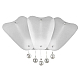 Бра Lightstar Lobo 804640