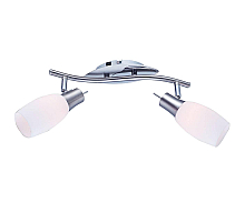 Спот Arte Lamp A4590AP-2SS