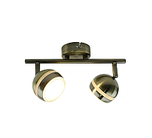 Светодиодный спот Arte Lamp Venerd A6009PL-2AB
