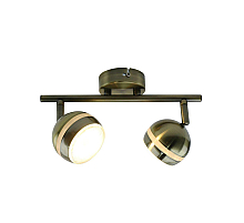 Светодиодный спот Arte Lamp Venerd A6009PL-2AB