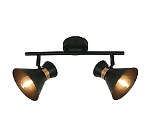 Спот Arte Lamp Baltimore A1406AP-2BK