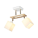 Спот Ambrella light Traditional Modern TR9501