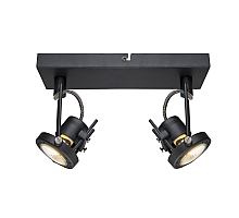 Спот Arte Lamp Costruttore A4300AP-2BK