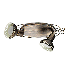 Спот Arte Lamp Focus A5219AP-2BR