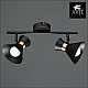 Спот Arte Lamp Baltimore A1406AP-2BK