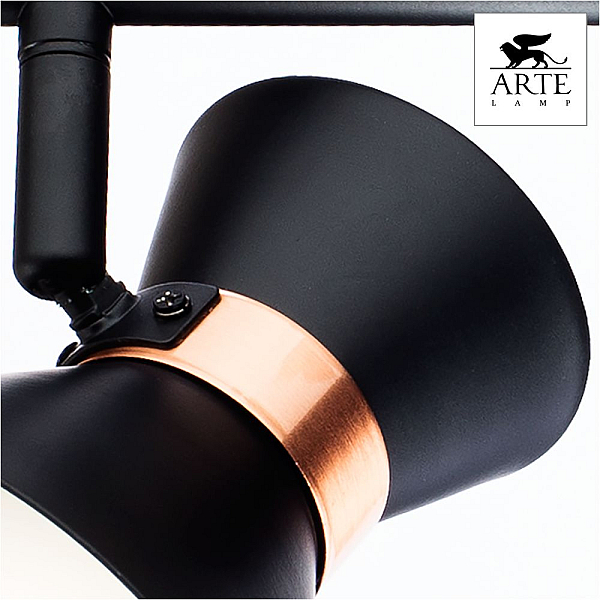 Спот Arte Lamp Baltimore A1406AP-2BK