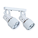 Спот Arte Lamp A6252PL-2WH