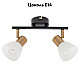 Спот Arte Lamp Falena A3117PL-2BK