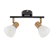 Спот Arte Lamp Falena A3117PL-2BK