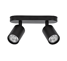 Спот Arte Lamp Aquarius A3226PL-2BK