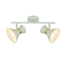Спот Arte Lamp Baltimore A1406AP-2WG