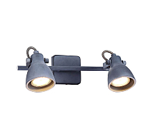 Спот Arte Lamp A9189AP-2GY