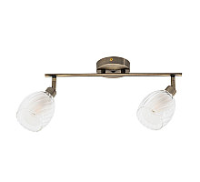 Спот Arte Lamp Biham A3184PL-2AB
