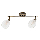 Спот Arte Lamp Biham A3184PL-2AB