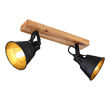 Спот Globo Gunther 15466S-2